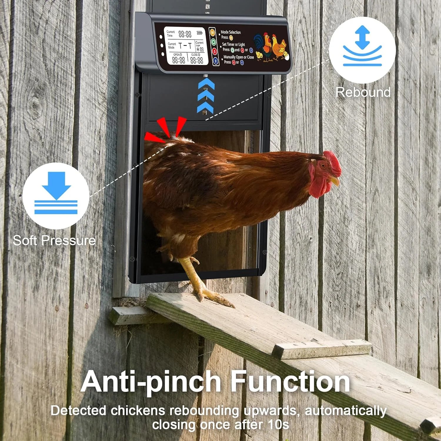 Solar Chicken Coop Door