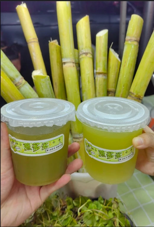 Industrial Sugarcane Juice Extractor