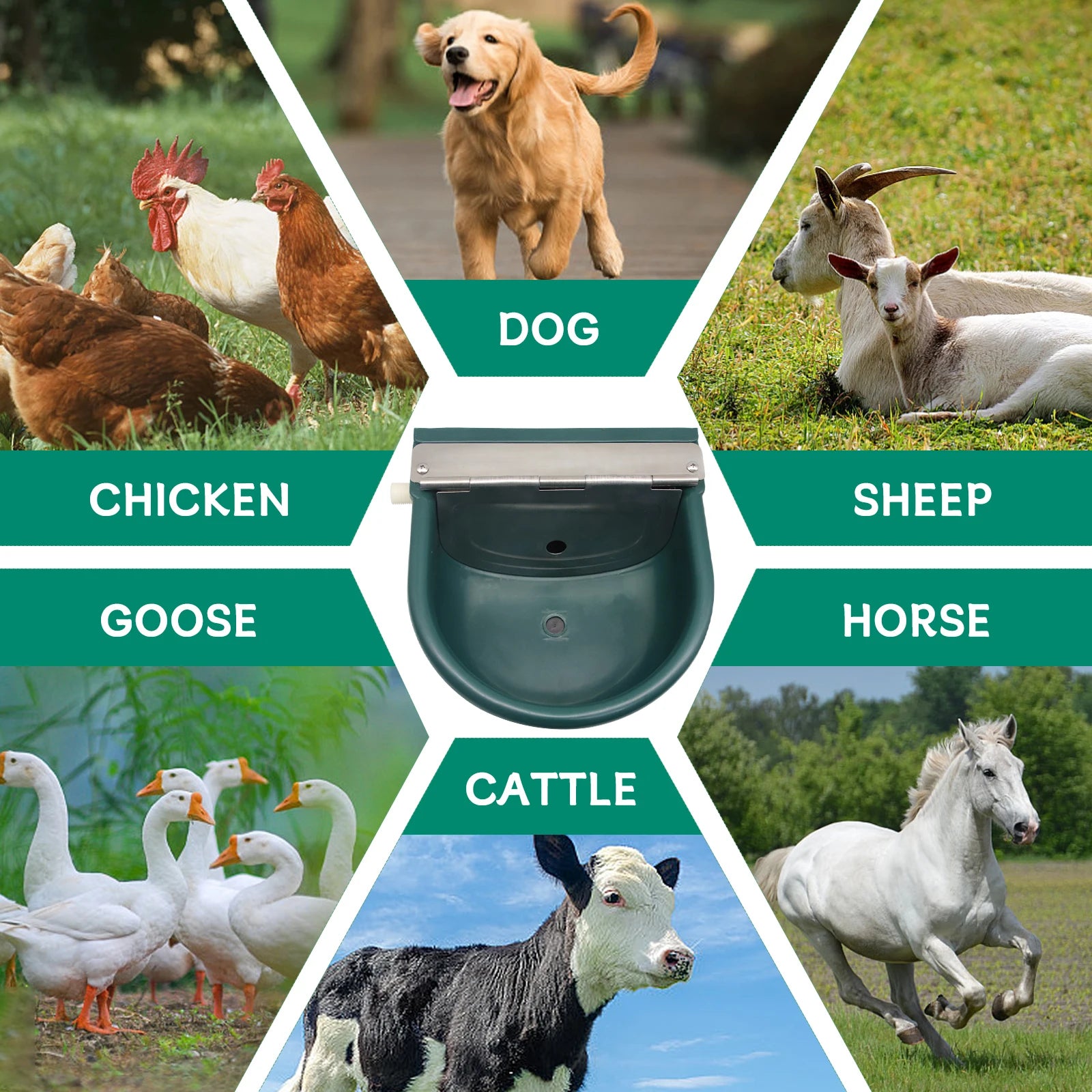 Automatic Water Bowl