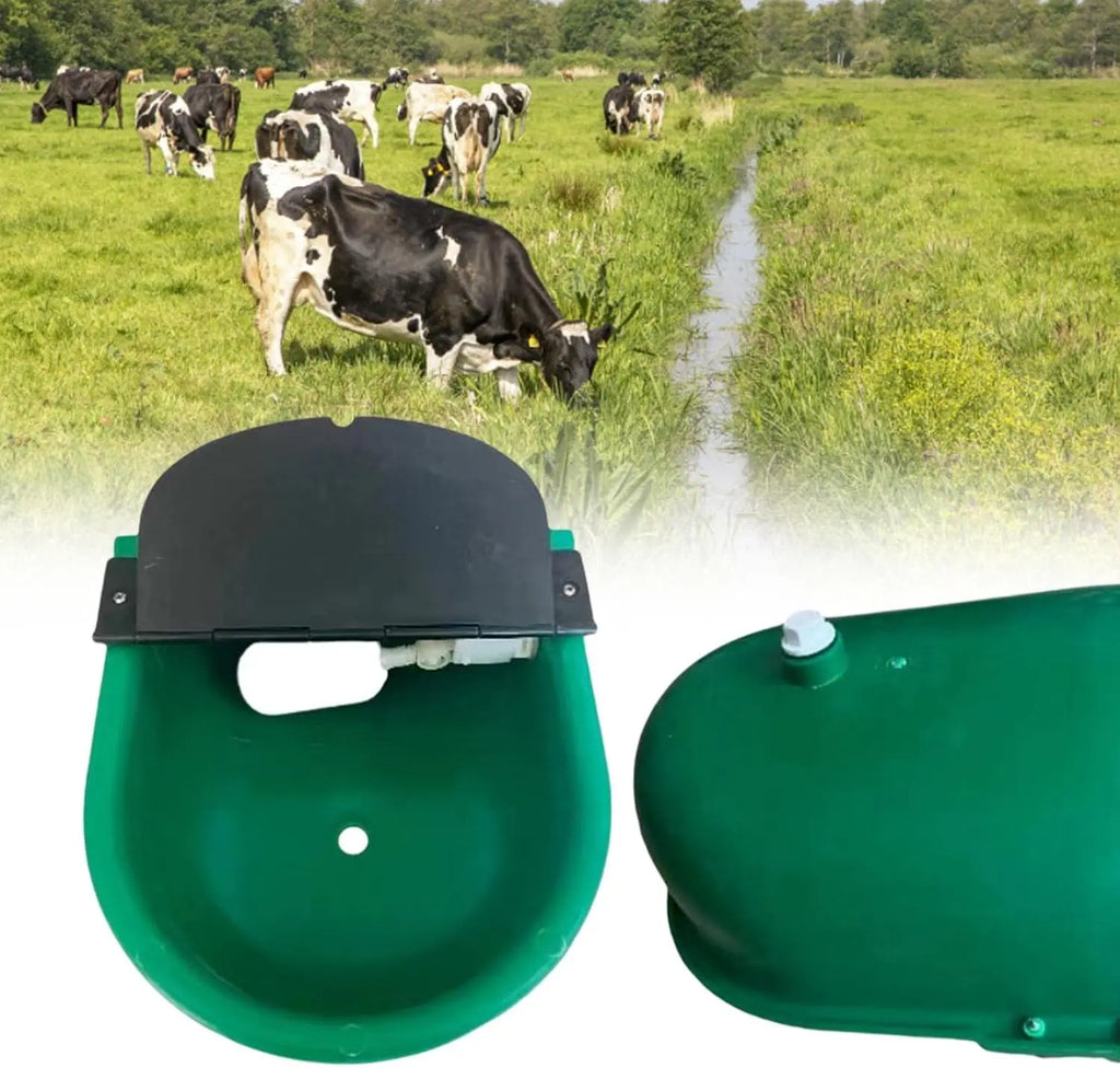 Automatic Water Bowl