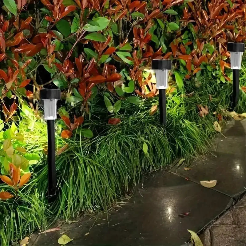 Timelss Solar Pathway Light