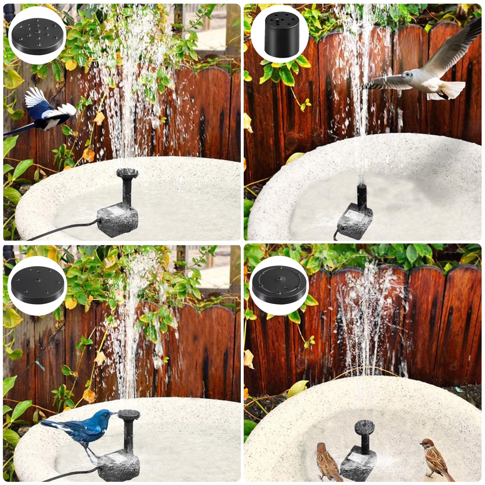 1.2W Solar Fountain, Solar Water Pump for Bird Bath, Outdoor Garden Pond, 5 Nozzles with Different Water Flow & Water Height